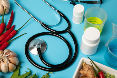 融合科技與藝術 實驗器材與農業科技在現代食品培育中的革新